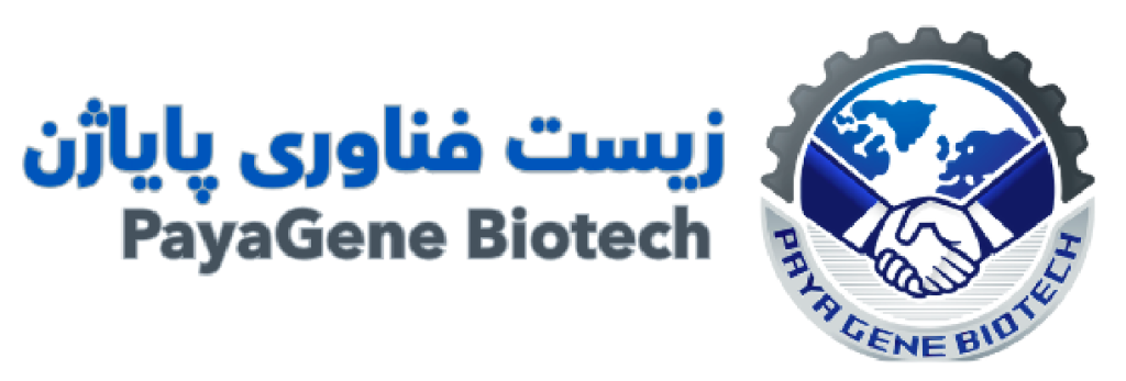 شرکت پایاژن فعال در زمینه انتقال تکنولوژی، تأمين تجهيزات، خدمات مشاوره برای شرکتهای دارویی، بیوتکنولوژی و غذایی فعالیت میکند.
